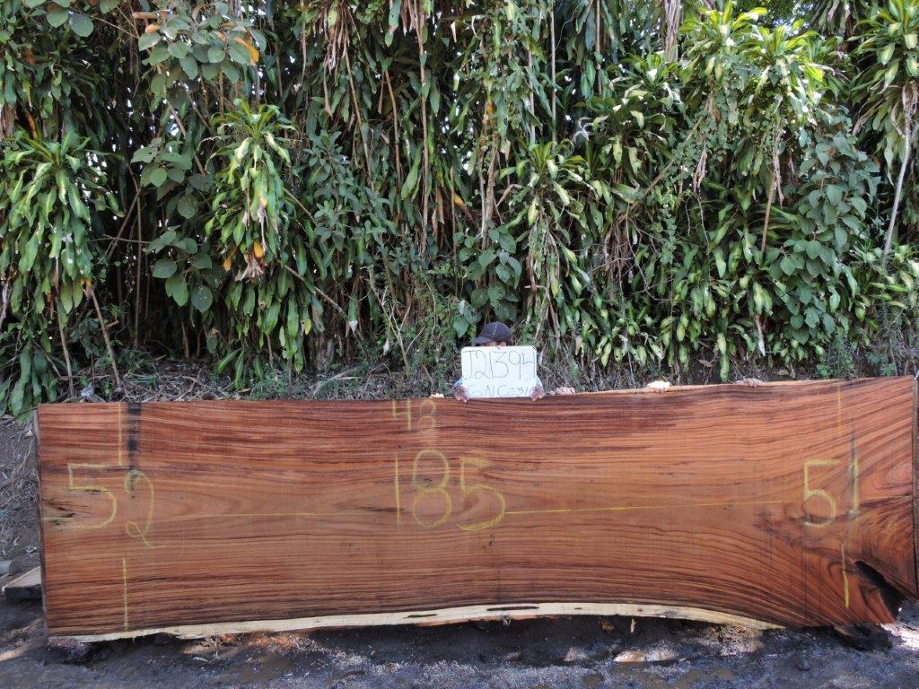Live Edge Lumber Wood Slabs 2
